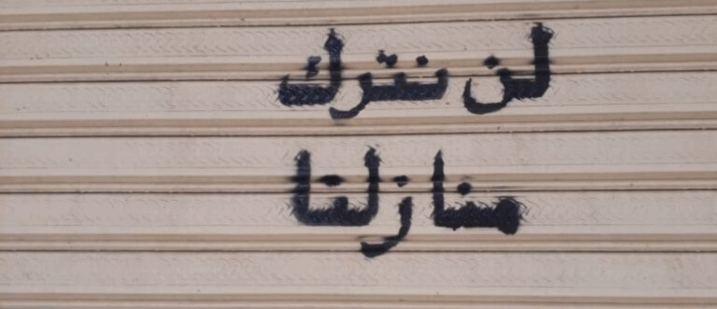 طوسون على خطى جزيرة الوراق.. سيناريو يتكرر